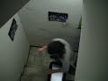 vendetta al gavettone francese alicante 2/2