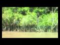 FILM7PART1