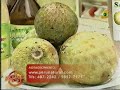 Sanky: fruta medicinal andina