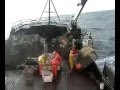 Bering Sea Crabfishing with BE Large and crew