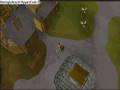 Runescape Glitches - I Believe I Can Fly