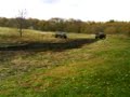 Mud Drags?