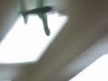 Peanut Scale Zero In Flight