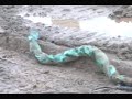 Modular Snake Robots