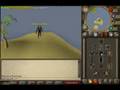 Runescape Black Dragon Hunting/Draconic Visage Guide