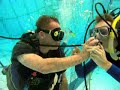 Friends Underwater Friends Underwater