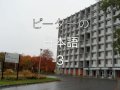 Piitaa no Nihongo 3
