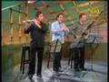 beethoven variations  carmel  trio ( israel philharmonic )