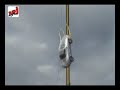 NRJ Cash Or Crash NRJ Cash Or Crash
