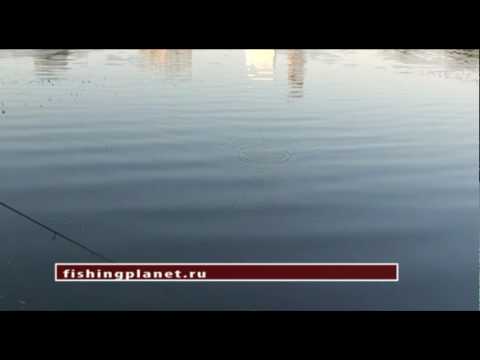 YouTube Трейлер