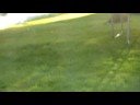 SMOKE BOMB GONE BAD WITH SUCKY CAMRA GUY!