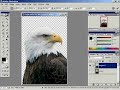Photoshop Free Transform and Rotate tools