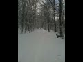 Ruff Ryder Howie snowmobiling