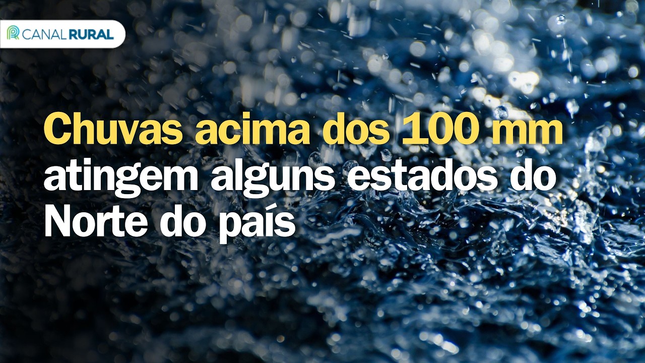 Previsão do tempo| Brasil 15 dias | Chuvas acima dos 100 mm atingem alguns estados do Norte do país