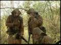 Combatente de Caatinga
