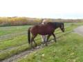 videos de Erster Spaziergang