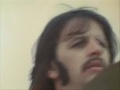 Peace & Love Ringo! Peace & Love Ringo!