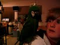 Stan the Severe Macaw Stan the Severe Macaw