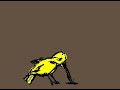 little bird animation little bird animation