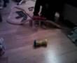 Chopper Konop 1.Versuch
