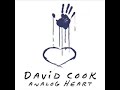 Stiches- David Cook Stiches- David Cook
