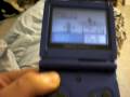 videos de Uncatchable Shiny Poochyena