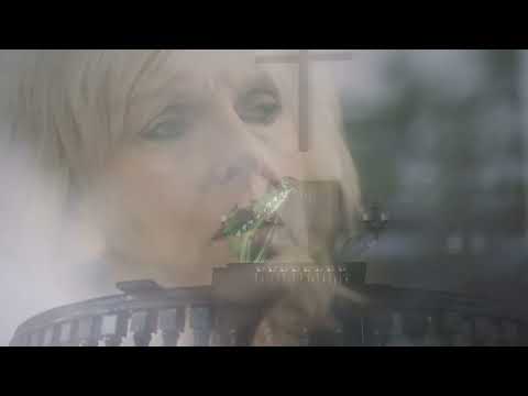 YouTube Preview Image