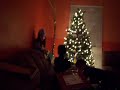Sister caught being MEAN to her Brother Sister caught being MEAN to her Brother
