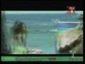 Tito El Bambino Sol, Playa & Arena Official Music Video and Lyrics