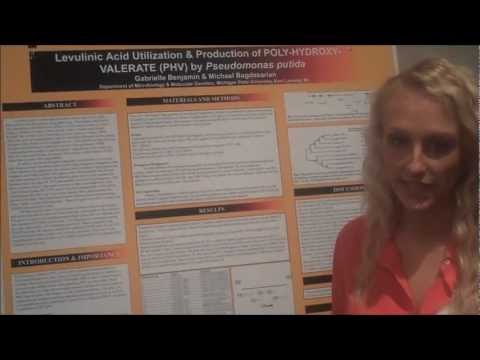 how to isolate pseudomonas putida