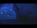 Naruto The Broken Bond: The Sasuke Retrieval Squad Kiba