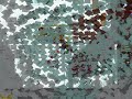 The Legend Of Abbo Ya Dandu/Draze Dandu Refugia
