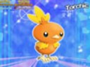 Fire Pokemon Slideshow