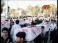 Agha Asad Abbas 2010 - Hai Karbala Ki Sham