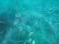 Akkeri� fyrir vestan Sk�rra v�de�i�,,�a� er flott.