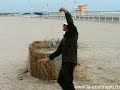 la-costinesti-mos-ne