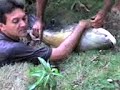Pescaria no Pesque e Pague Sambur�