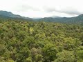 Papua helicopter takeoff