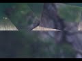 Tym - \"Walk In Beauty\"