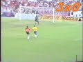 Bra-Pel Lobo 4x0 neles Bra-Pel Lobo 4x0 neles