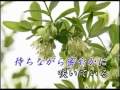 カラオケ ゆのみの花(ハスカップ)
