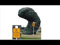 Ode to Poop