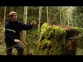 Save Salt Spring Creekside Rainforest Appeal