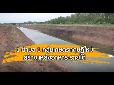 ศาสตร์ปันสุข : 1 ตำบล 1 กลุ่มเกษตรทฤษฎีใหม่ สร้างแหล่งอาหาร-รายได้