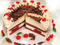 FARMA G - CAKE