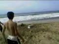 funny video 2 funny video 2