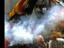 pa�sos catalans