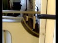 Follia di un cane delirante