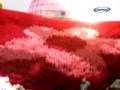 videos de Summertime - Click 5 (OFFICIAL VIDEO)