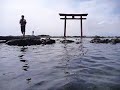 najima suichu